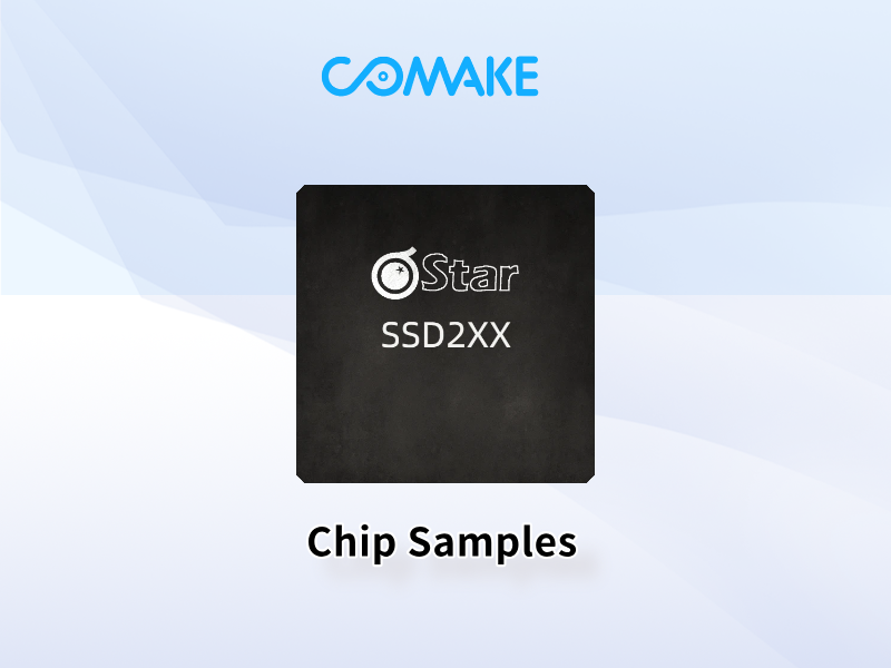 Chip Samples
