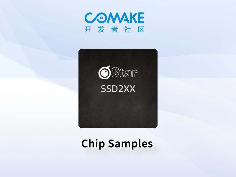 Chip Samples