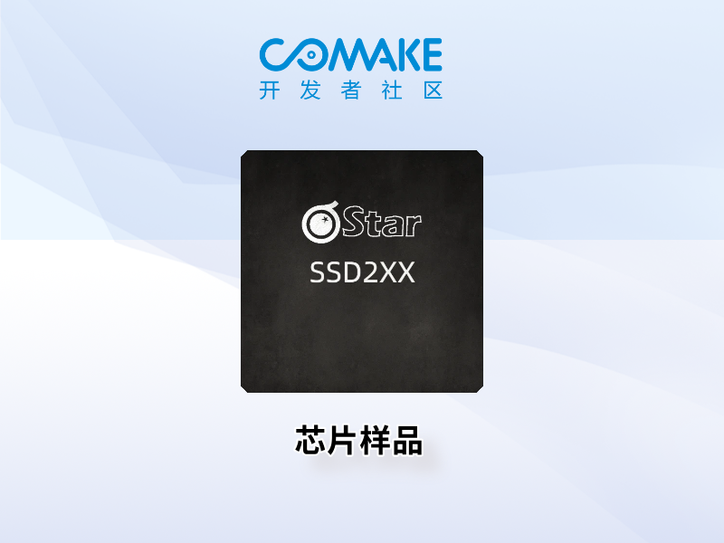 芯片样品